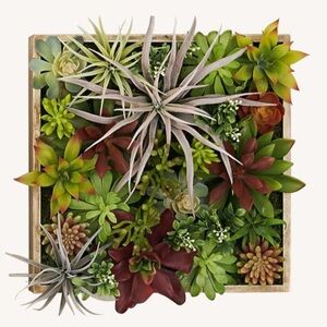 Pottery Barn Faux Succulent Wall Art